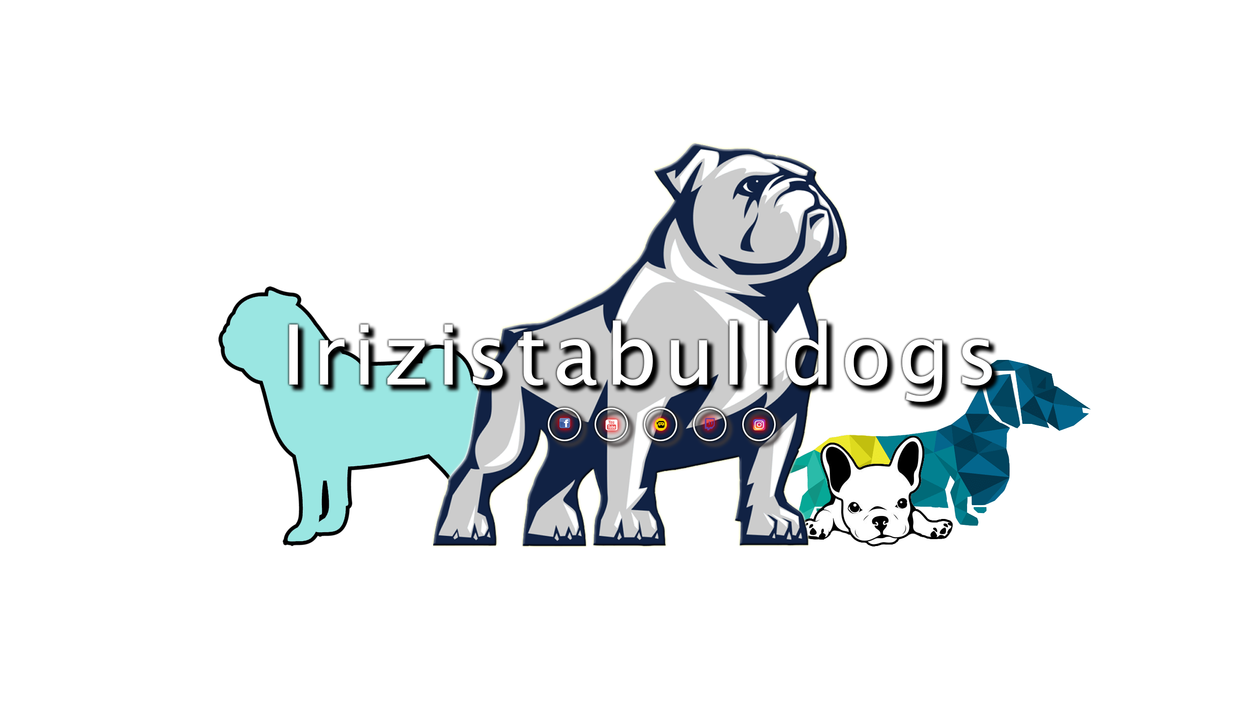 IrizistabullDogs